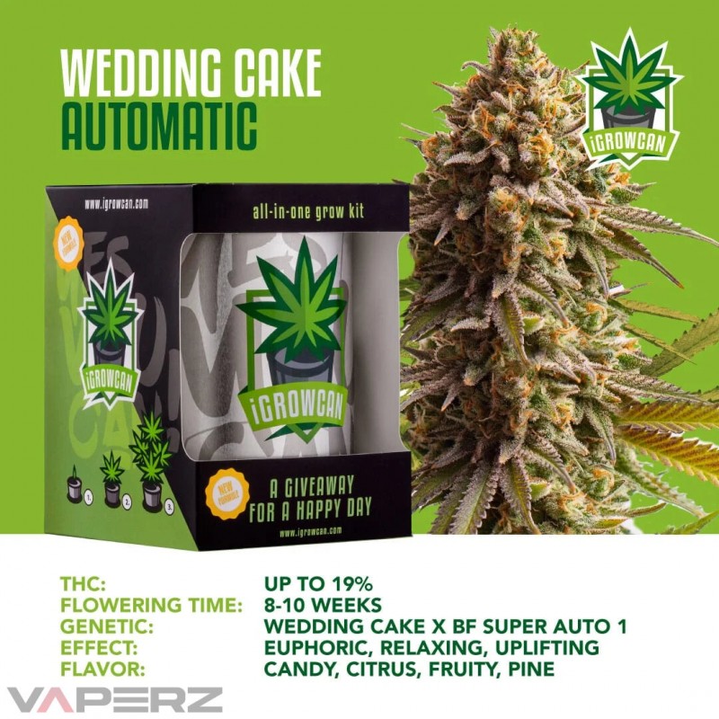 iGrowCan Automatic - Wedding Cake