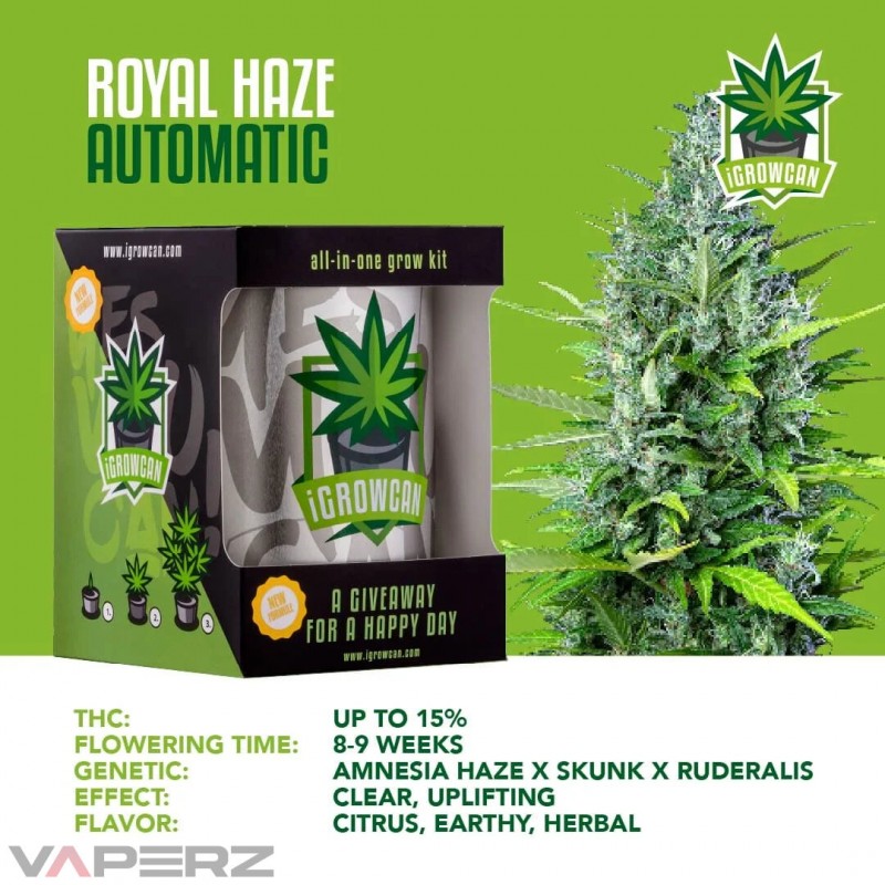 iGrowCan Automatic - Royal Haze